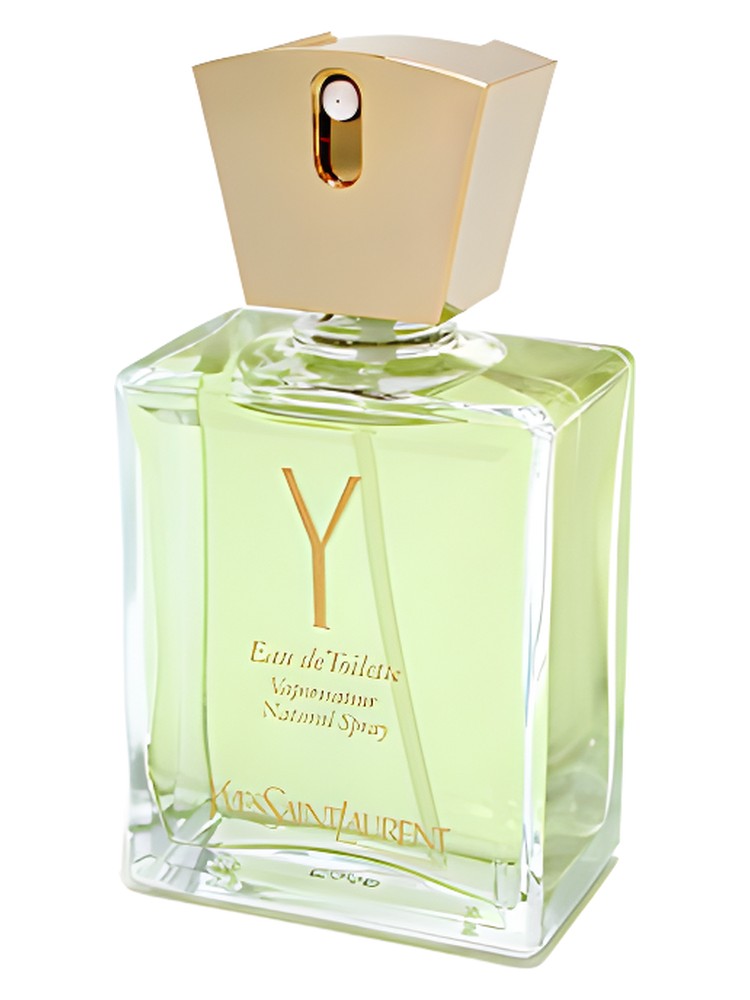 Y – Yves Saint Laurent