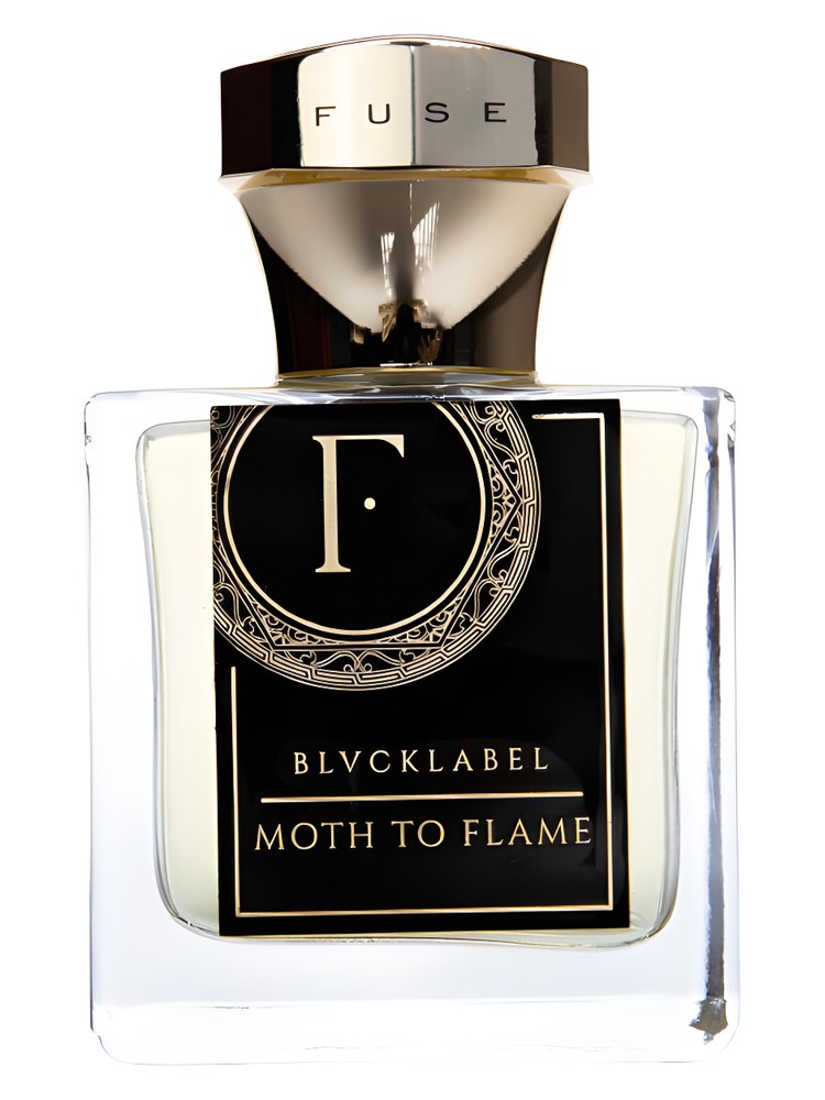 Moth To Flame – Fuse