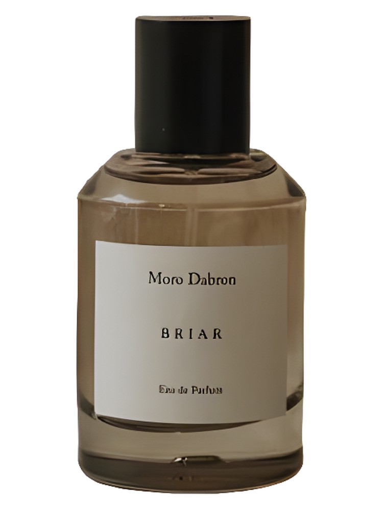 Briar – Moro Dabron