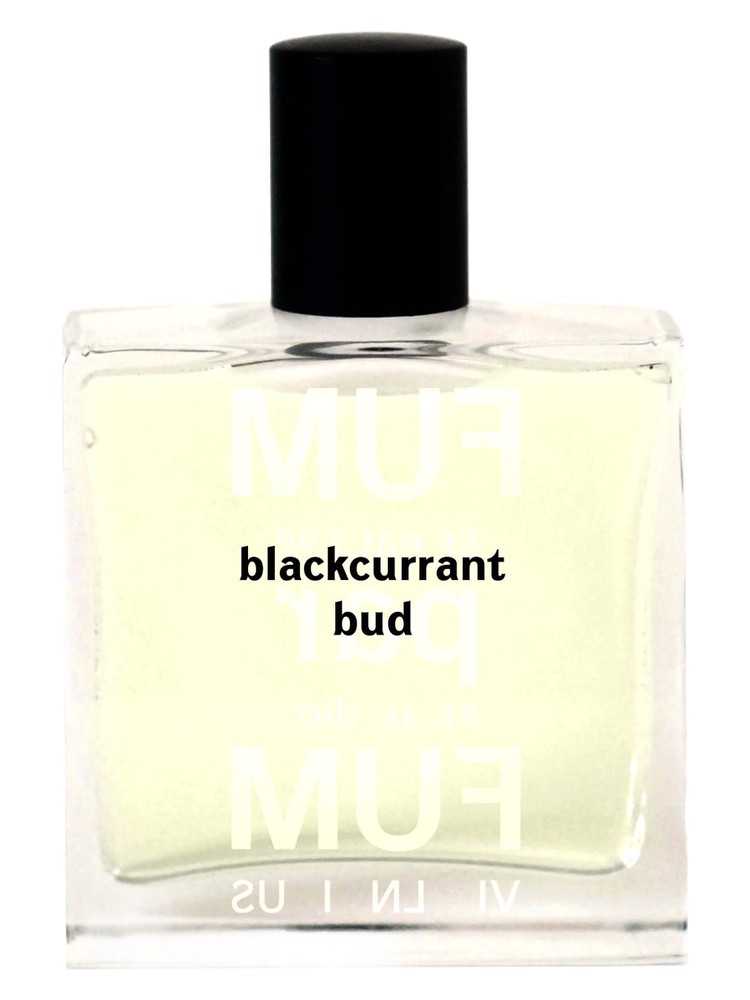 FUMparFUM Blackcurrant Bud