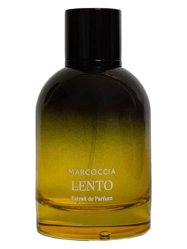 Marcoccia Lento