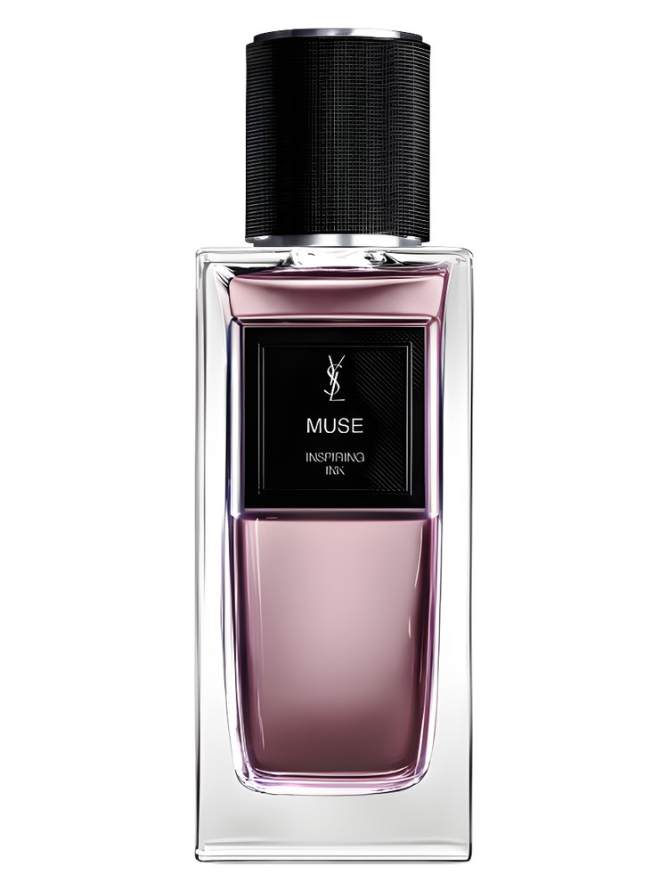 Muse – Yves Saint Laurent