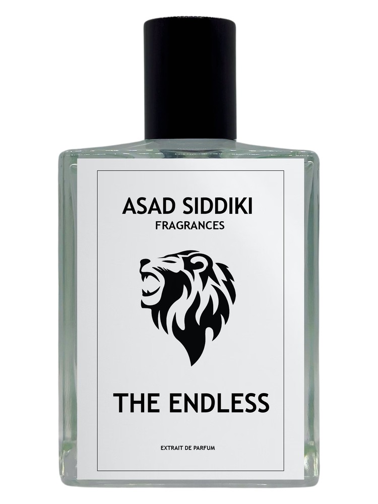 The Endless – Asad Siddiki
