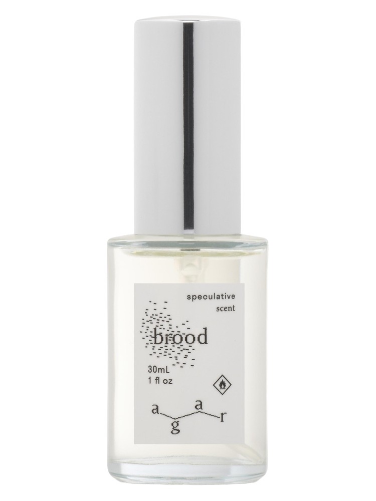 Brood – Agar Olfactory
