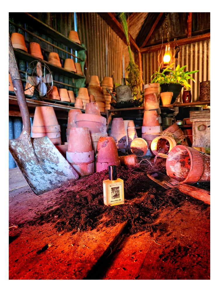 Wilcox’s Potting Shed – Solstice Scents