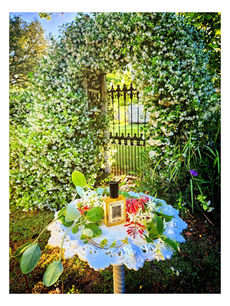 Queen of Dawn – Solstice Scents
