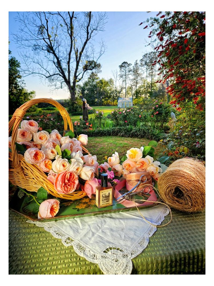 Estate Rosarium – Solstice Scents
