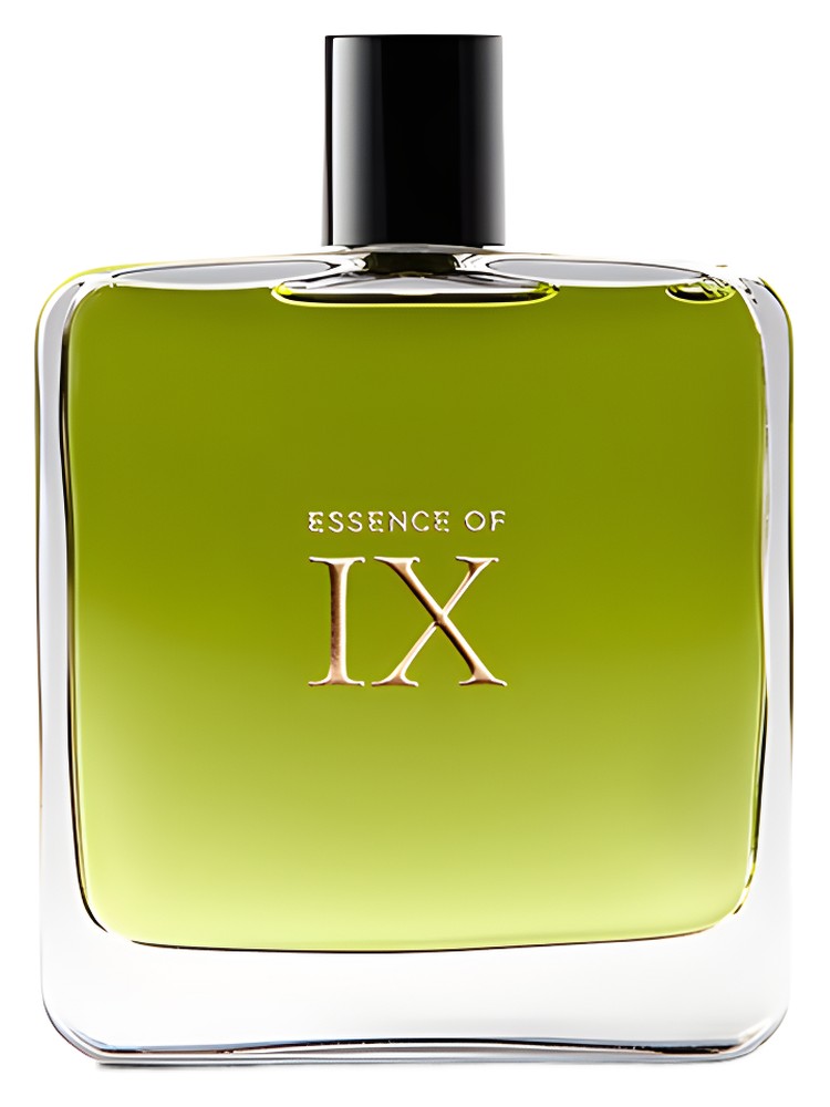 Strange Invisible Perfumes Essence of IX