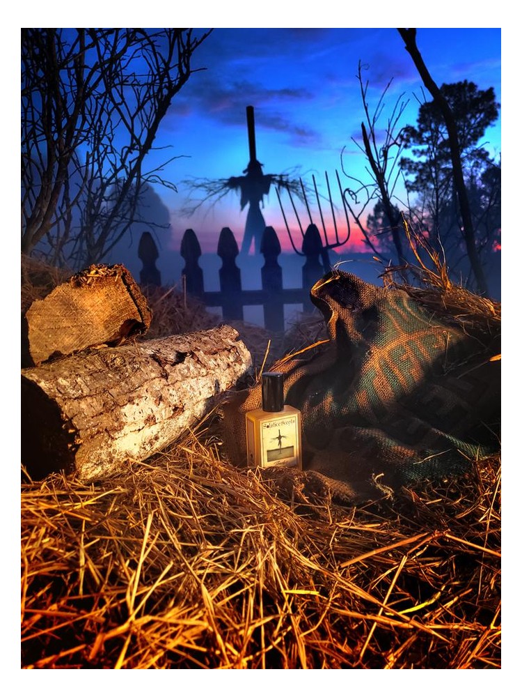 Patches – Solstice Scents