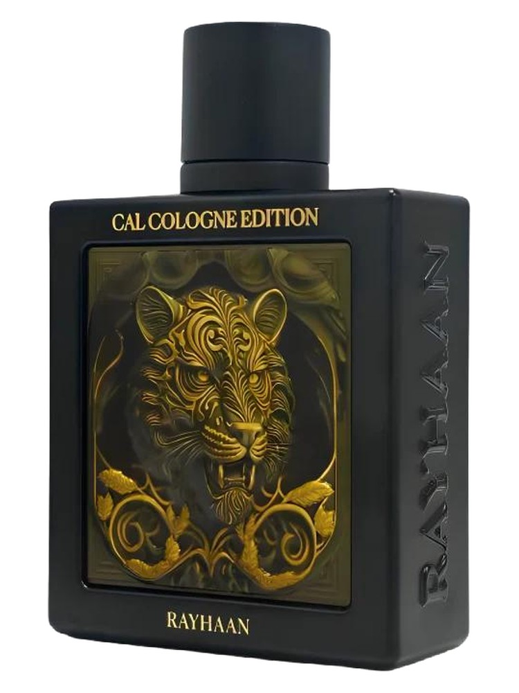 Tiger – Rayhaan
