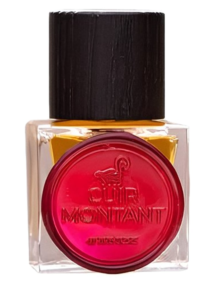 Cuir Montant – Jinx Smells