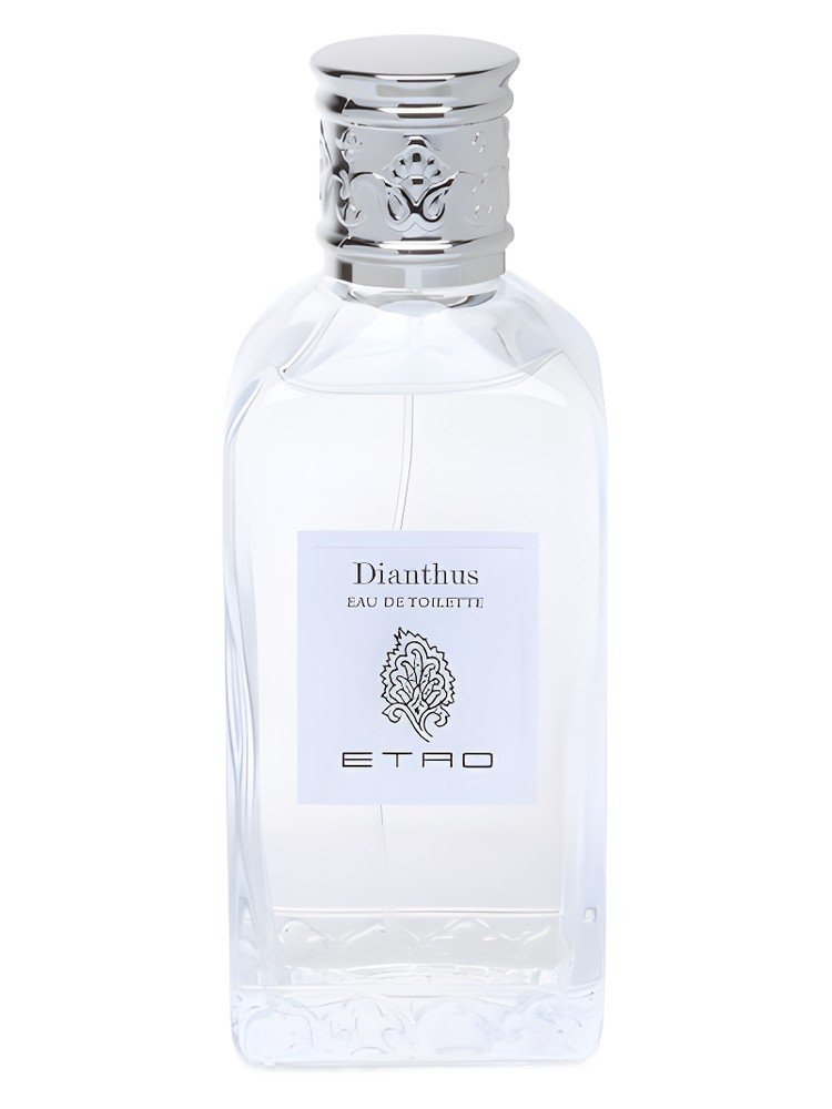 Dianthus – Etro