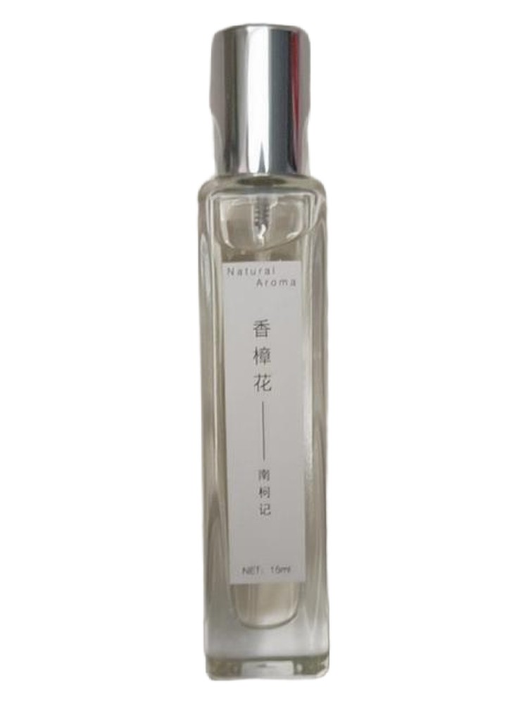 Camphor Flower 香樟花 – 南柯记 Nankeji