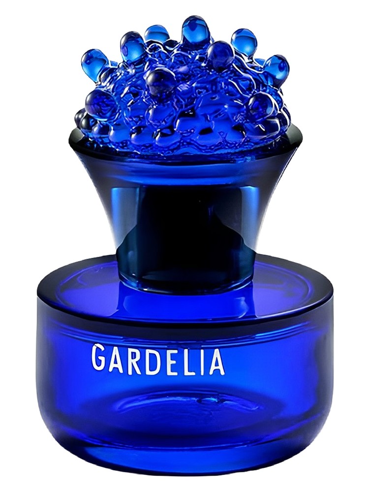 Gardelia 2025 – Bogue