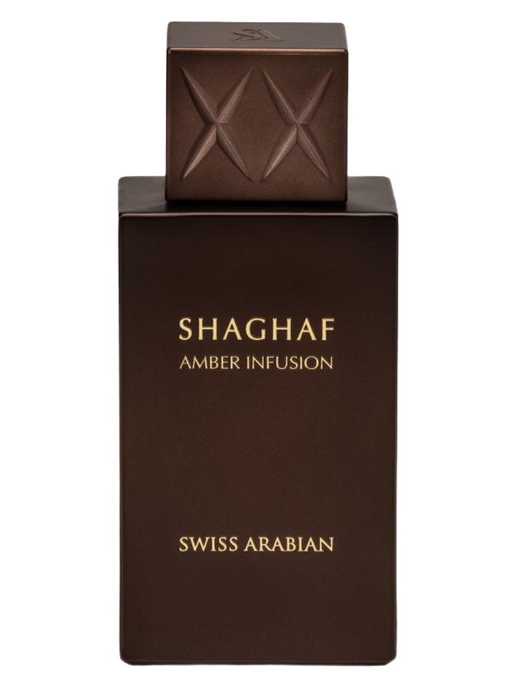 Shaghaf Amber Infusion – Swiss Arabian