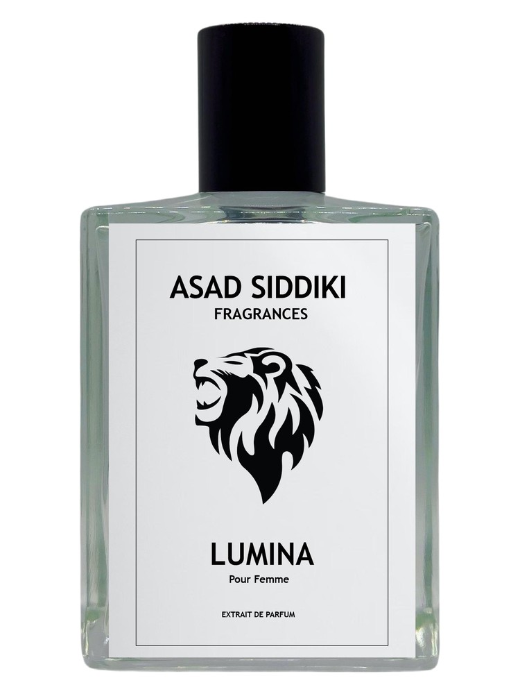 Lumina – Asad Siddiki
