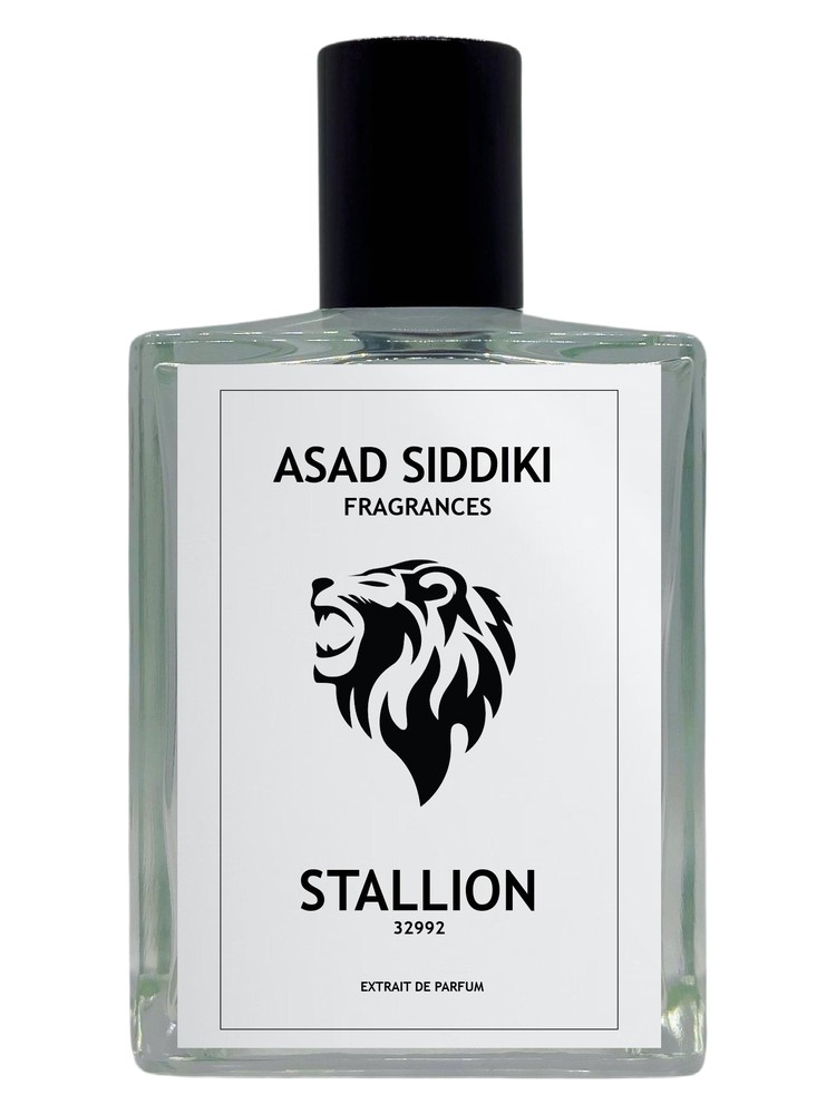 Stallion 32992 – Asad Siddiki