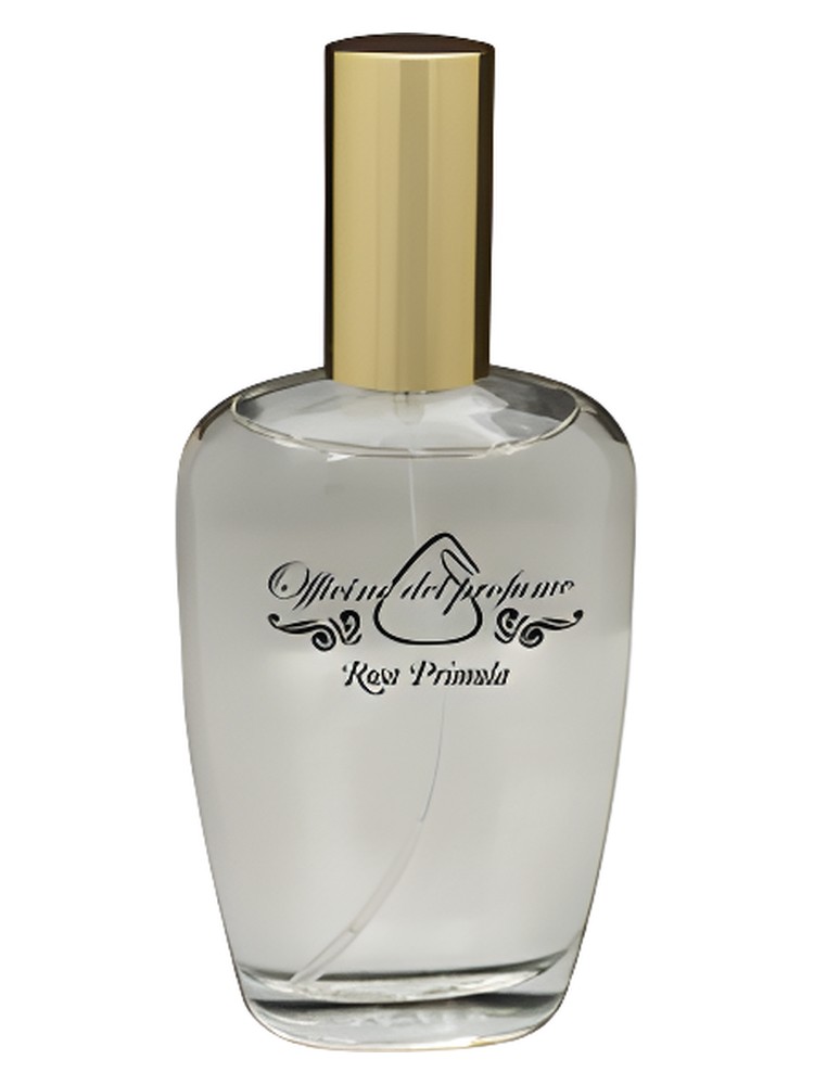Rosa Primula – Officine del Profumo