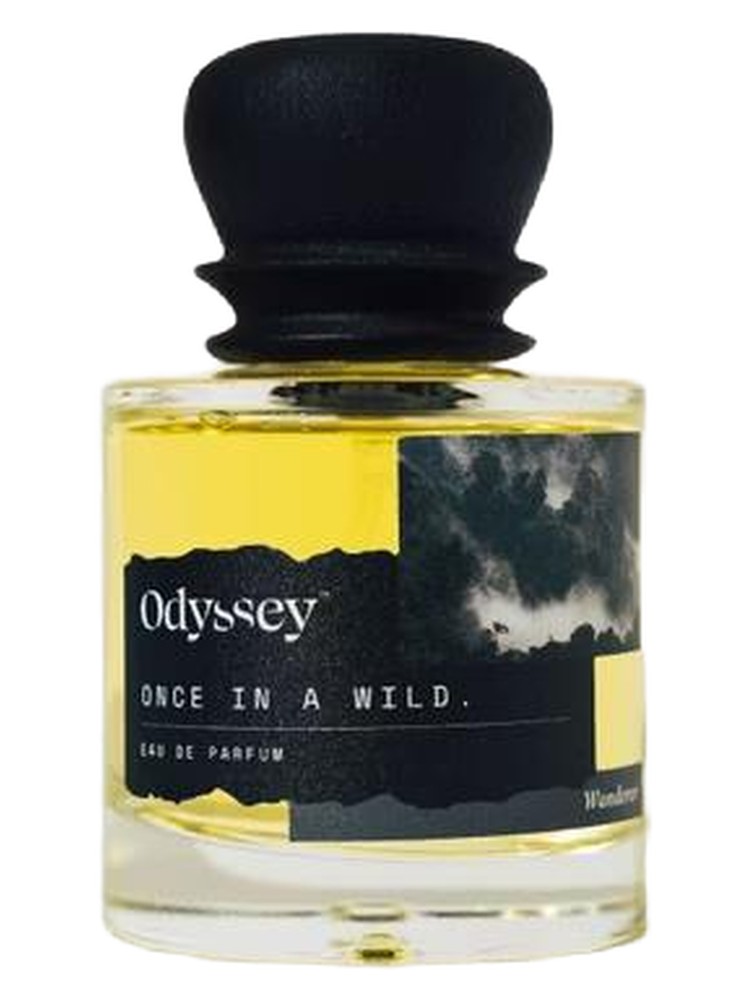 Once In A Wild – Odyssey