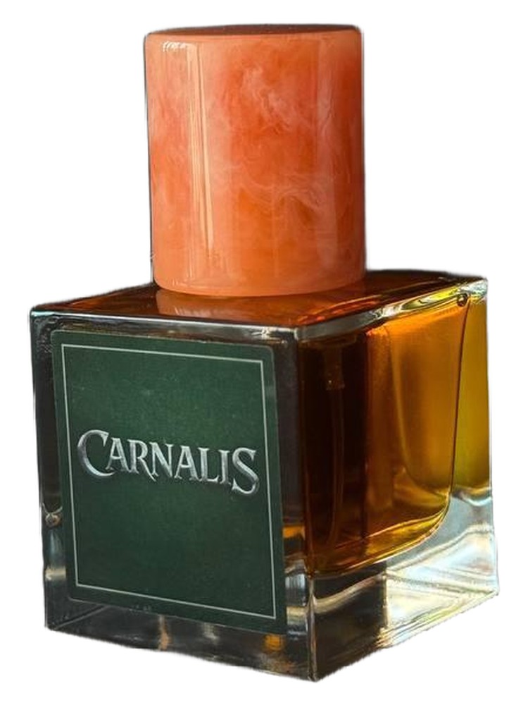 Carnalis – ATon