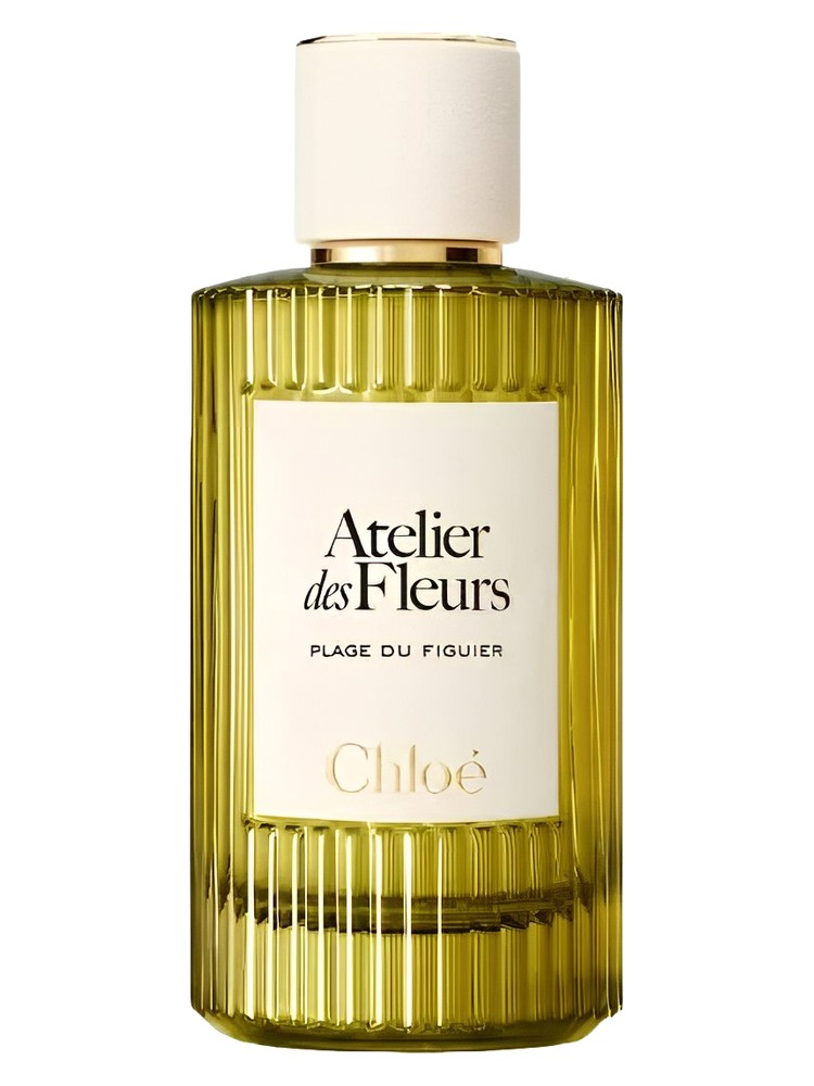 Plage du Figuier – Chloé