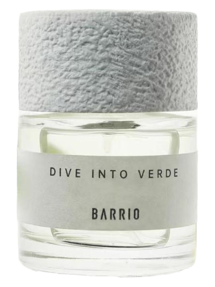 Dive into Verde – BARRIO