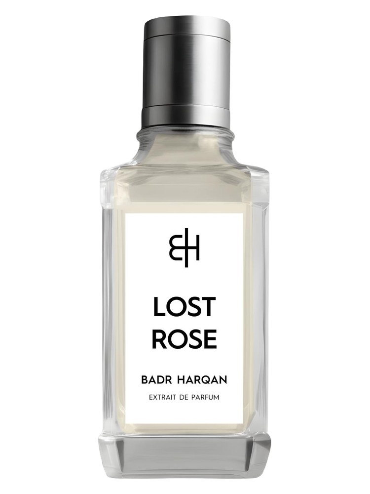 Lost Rose – Badr Harqan