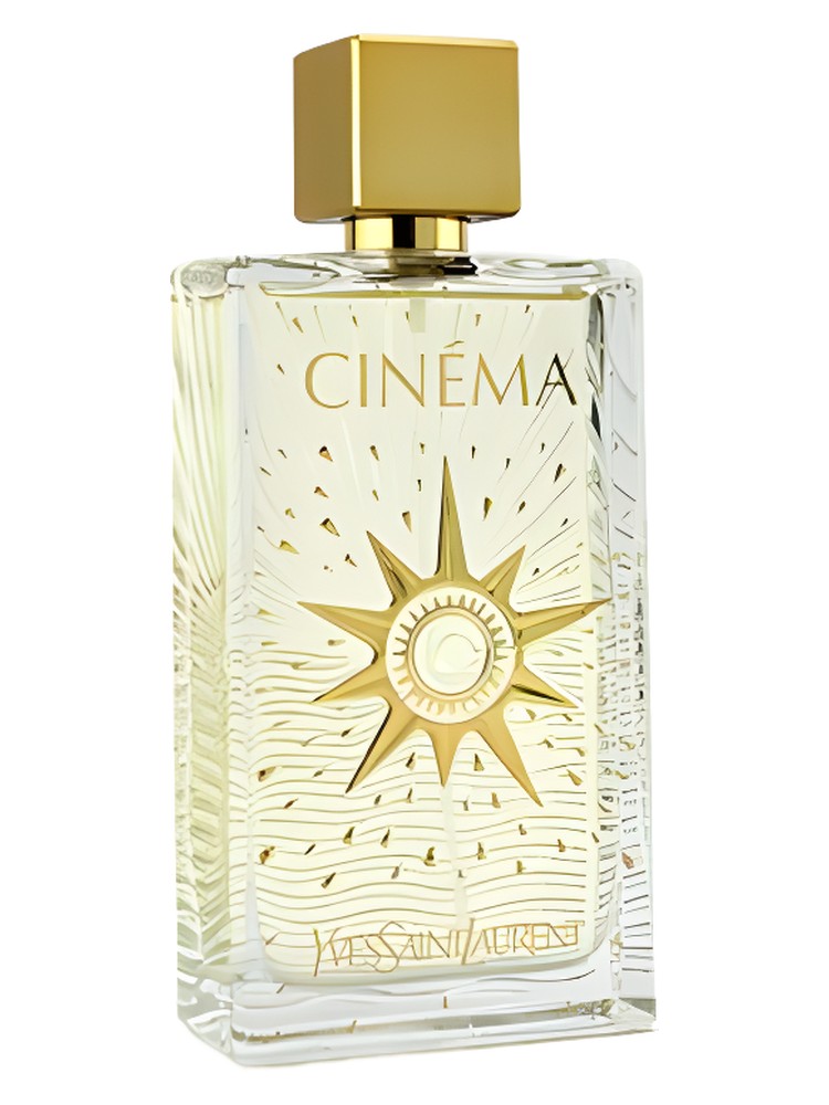 Cinéma Festival d’Ete – Yves Saint Laurent