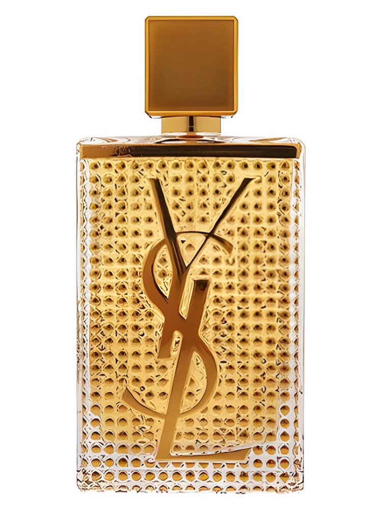Yves Saint Laurent Cinéma Gold