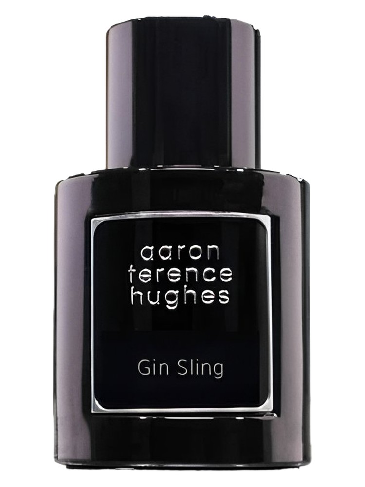 Gin Sling – Aaron Terence Hughes