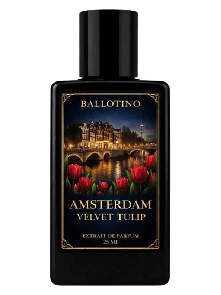Amsterdam Velvet Tulip – Ballotino