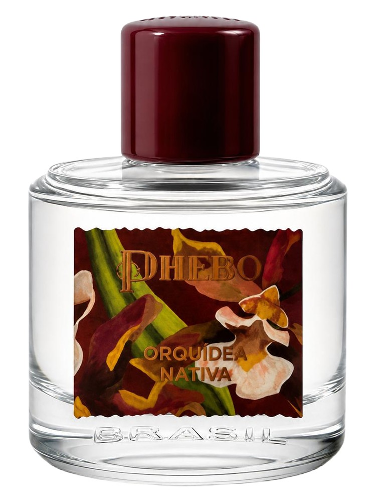 Orquídea Nativa – Phebo