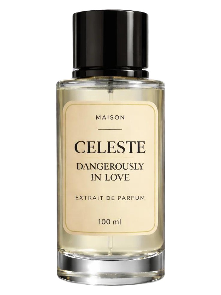 Dangerously in Love – Maison Celeste