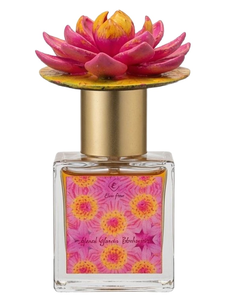 Fractal Flowers Kaleidoscope – Elixir Attar