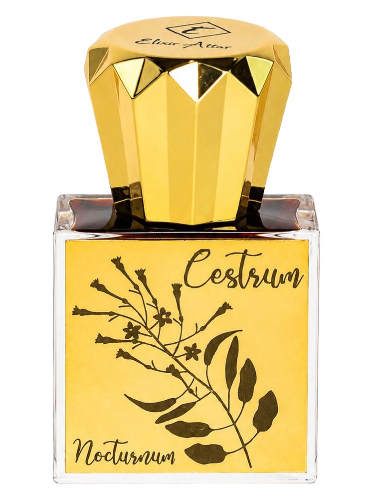 Cestrum Nocturnum – Elixir Attar