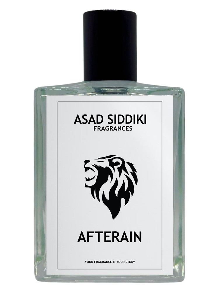 Afterain – Asad Siddiki