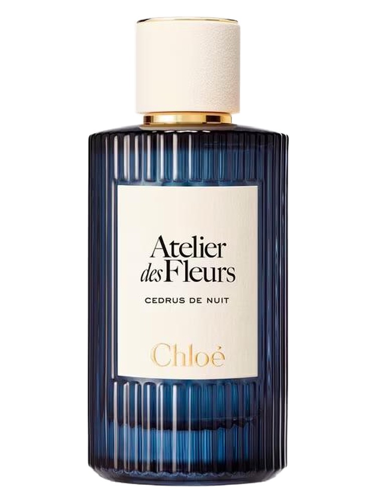 Cedrus de Nuit – Chloé
