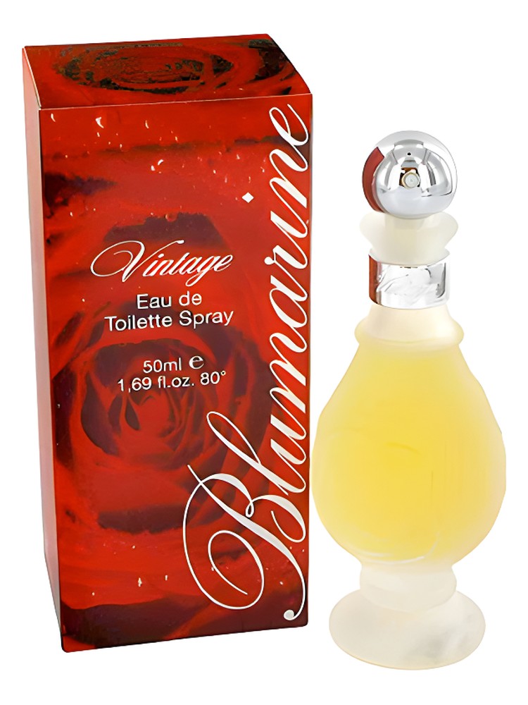 Vintage – Blumarine