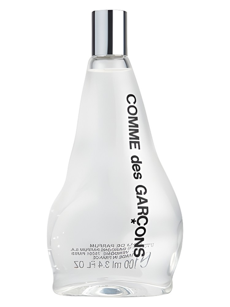Comme des Garcons 2011 – Comme des Garcons