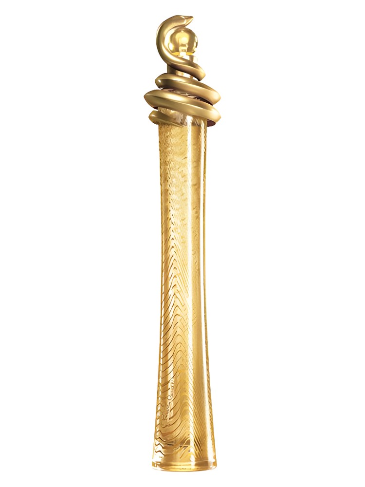 Roberto Cavalli Oro – Roberto Cavalli