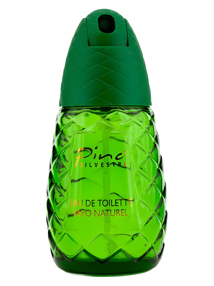Pino Silvestre Original – Pino Silvestre