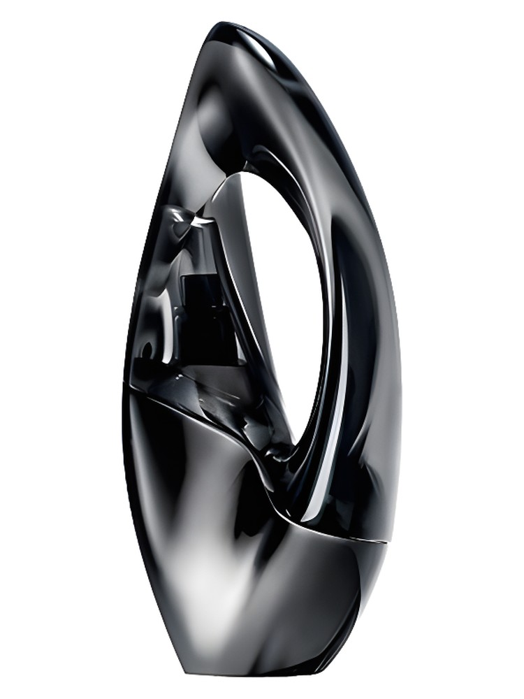 Woman – Donna Karan