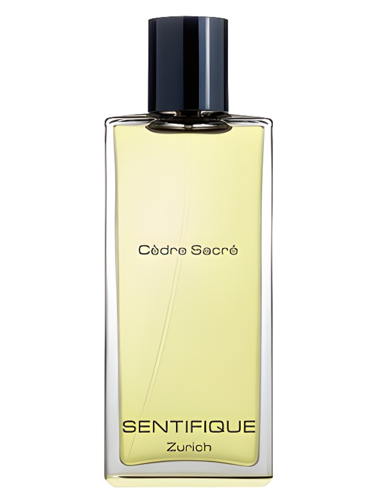 Cedre Sacre – Sentifique