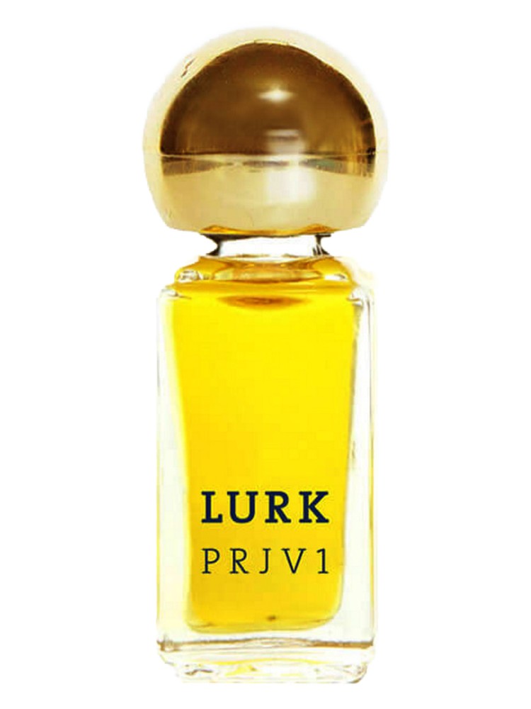 PRJ V1 – Lurk