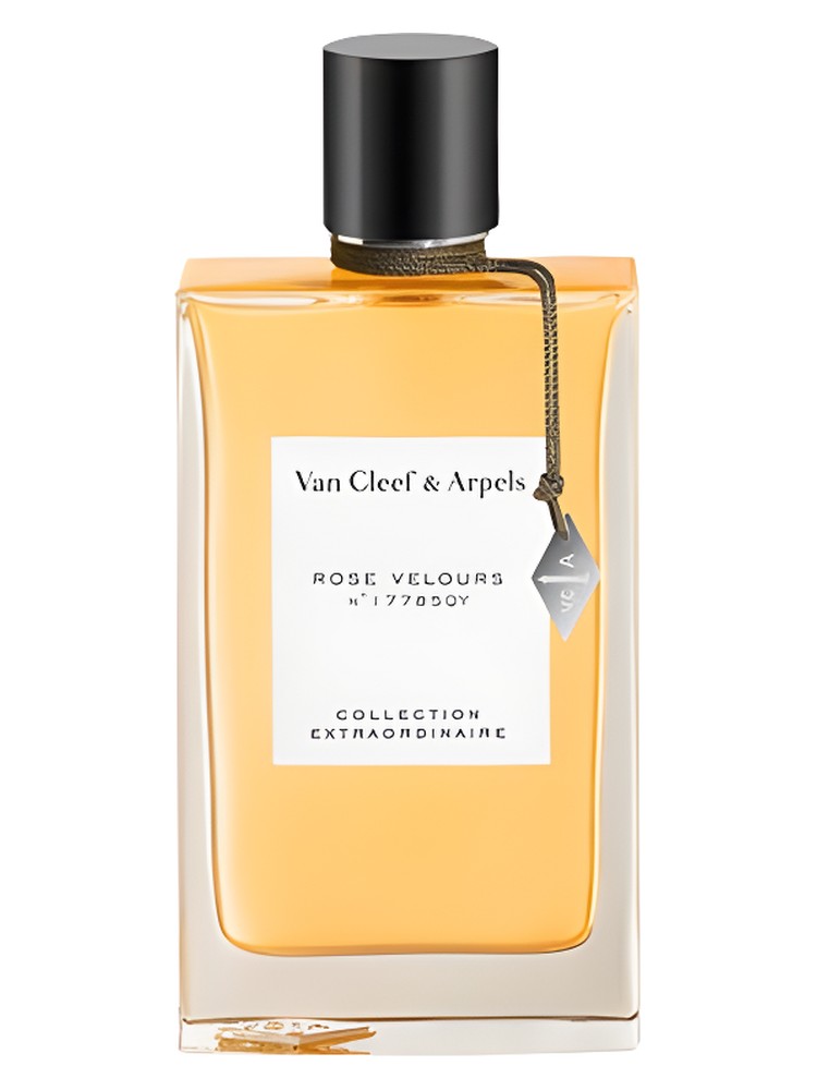 Rose Velours – Van Cleef & Arpels