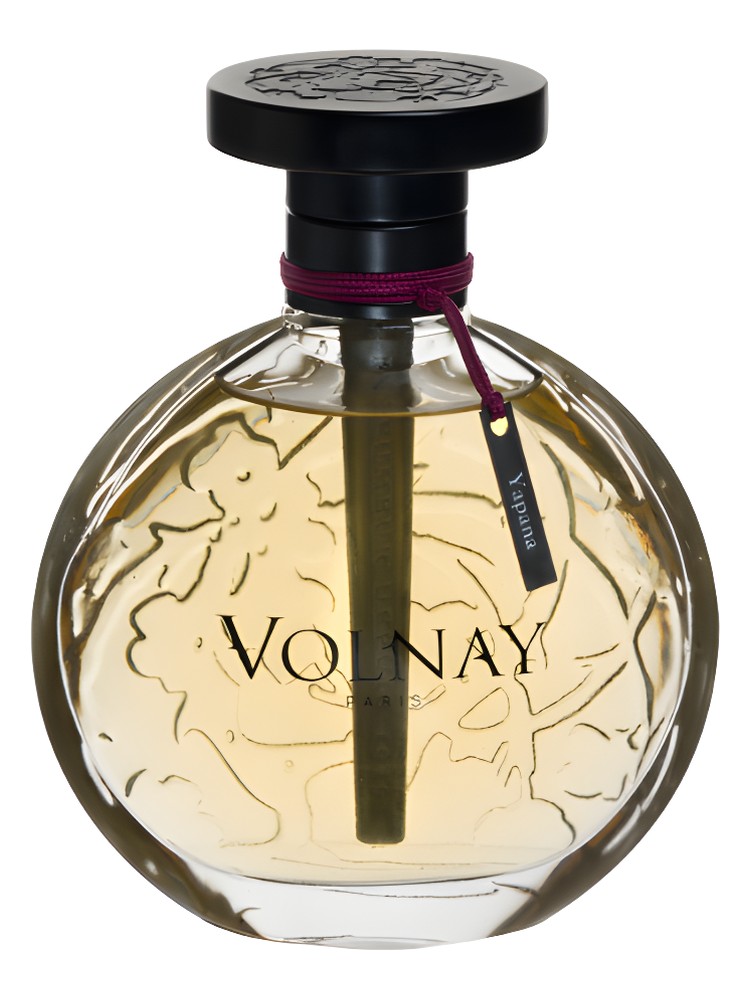 Yapana – Volnay