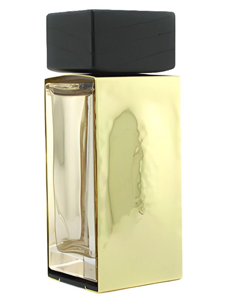 Donna Karan Gold – Donna Karan