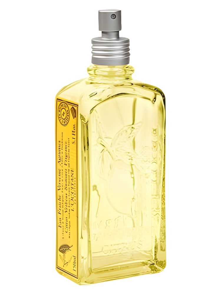 Citrus Verbena Summer – L'Occitane en Provence