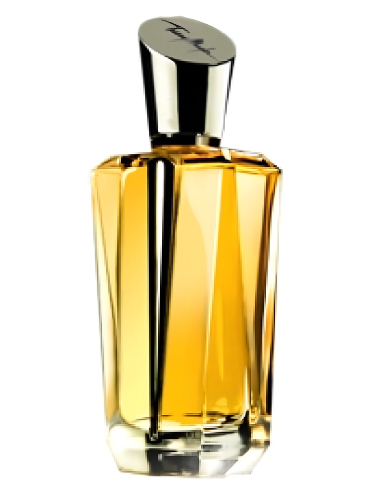 Mirror Mirror Collection – A Travers Le Miroir – Mugler