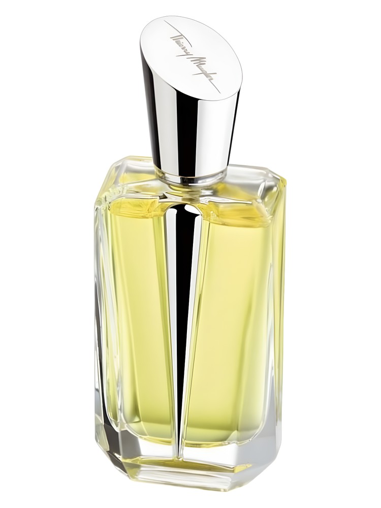 Mirror Mirror Collection – Miroir des Secrets – Mugler